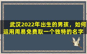 武汉2022年出生的男孩，如何运用周易免费取一个独特的名字 🐠